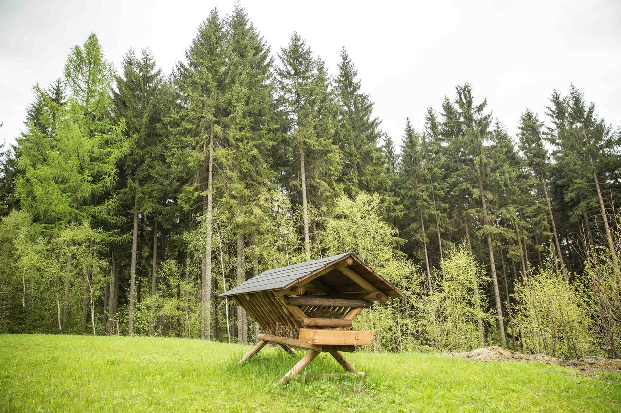 Chalet Гаррахов Экстерьер фото